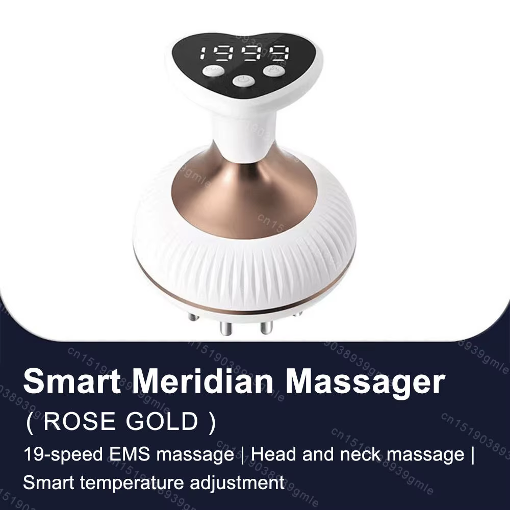Masseur électrique Anti-Cellulite, brosse de Massage méridien, Massage corporel, Drainage lymphatiqu