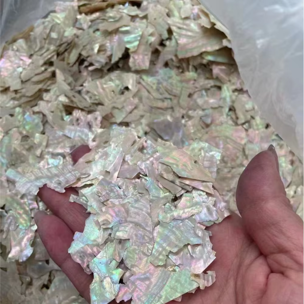 Breloques à ongles en coquillage d'ormeau naturel, nickel é ultra-mince, tranches irrégulières d'orm