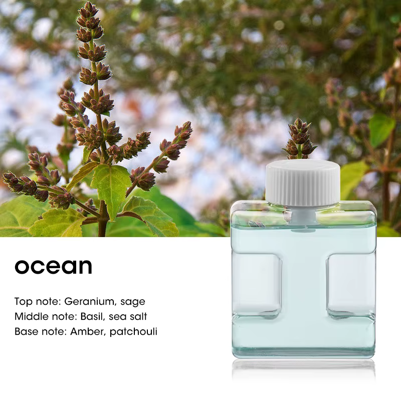 Diffuseur d'aromathérapie à ultrasons 50 ml, machine à parfum d'huiles essentielles, purificateur d'
