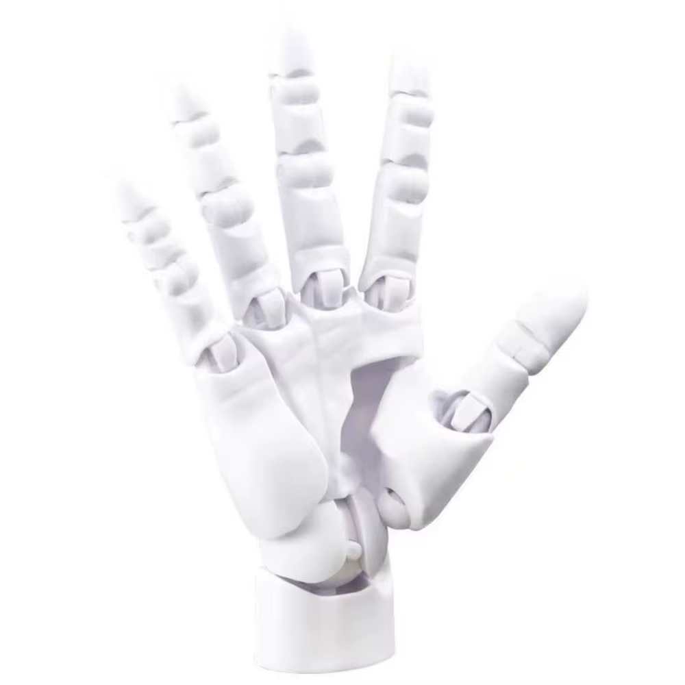 Modèle mobile de articulation de main en plastique mannequin biomimétique Simulation de main figurin