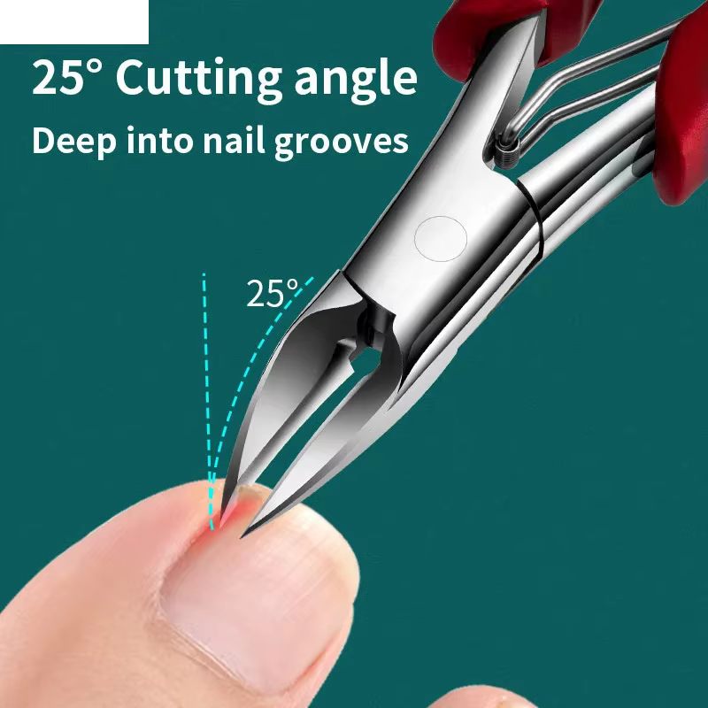 Coupe-ongles concave en acier inoxydable de qualité professionnelle pour ongles épais et ongles inca