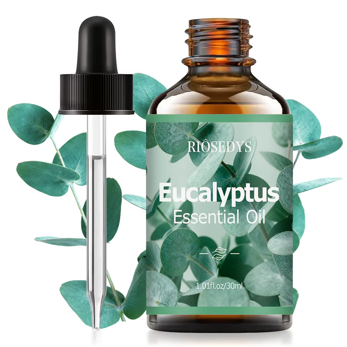Huile essentielle d'eucalyptus, un parfum botanique, nourrit les cheveux et fournit un soin de massa
