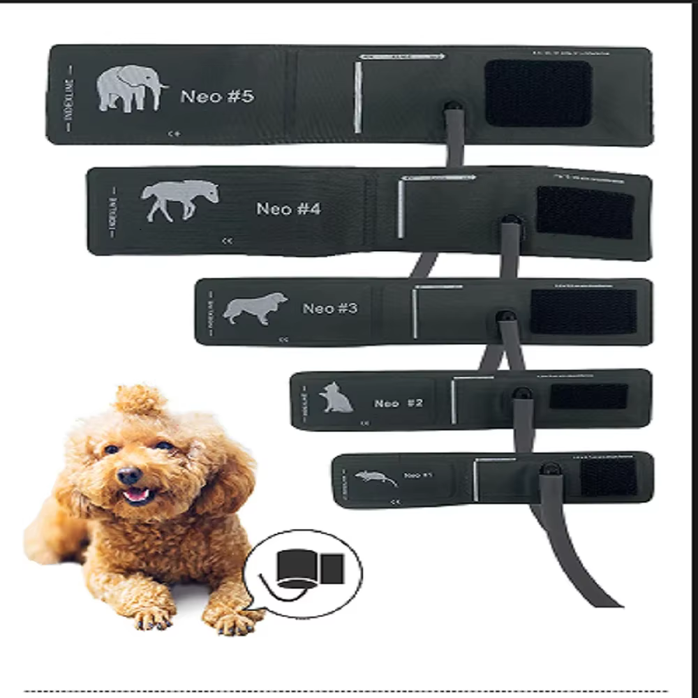 Brassard de surveillance de la pression artérielle pour animaux de compagnie, Fournitures vétérinaires, Accessoire vétérinaire