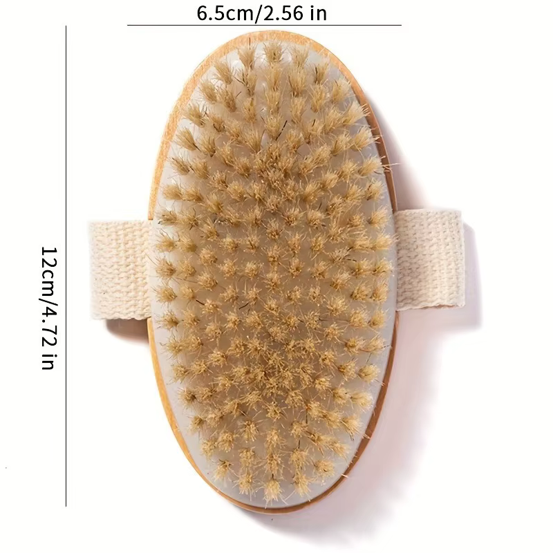 Brosse pour le corps sec avec exfolie - Poils naturelles pour un usage humide et sec | Masseur de cellulite de qualité