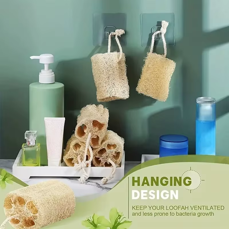 Éponge exfoliante naturelle égyptienne pour le corps