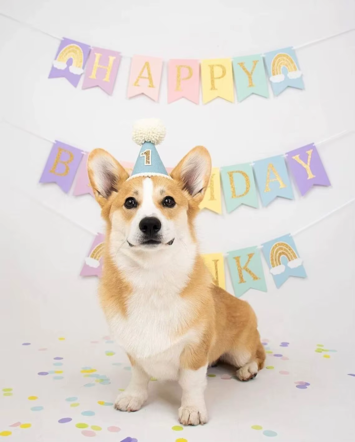 Chapeau de 1er anniversaire fait à la main, décoration de fête, chapeau conique, chapeau pour animal de compagnie, accessoire d'atmosphère de photographie de premier anniversaire pour filles et garçon