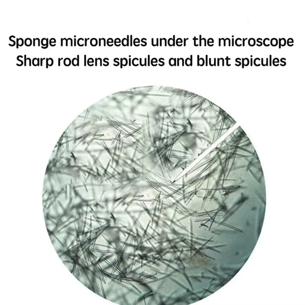 Kit de spicules d'éponge biomicrocristallines S VIAL pour nettoyer les pores