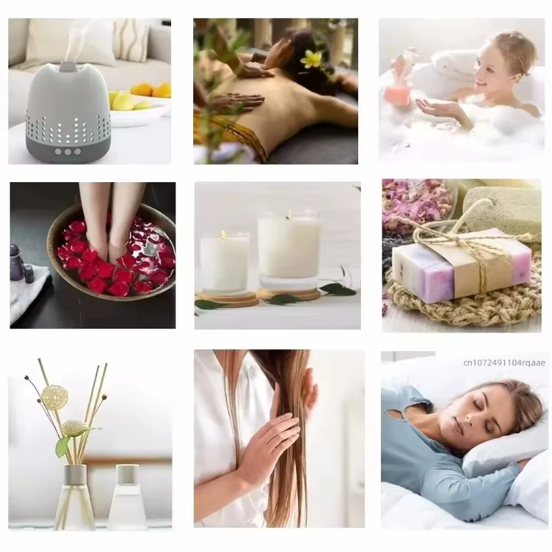 Diffuseur d'huiles essentielles premium Neem/Oud/Lotus bleu pour la méditation profonde