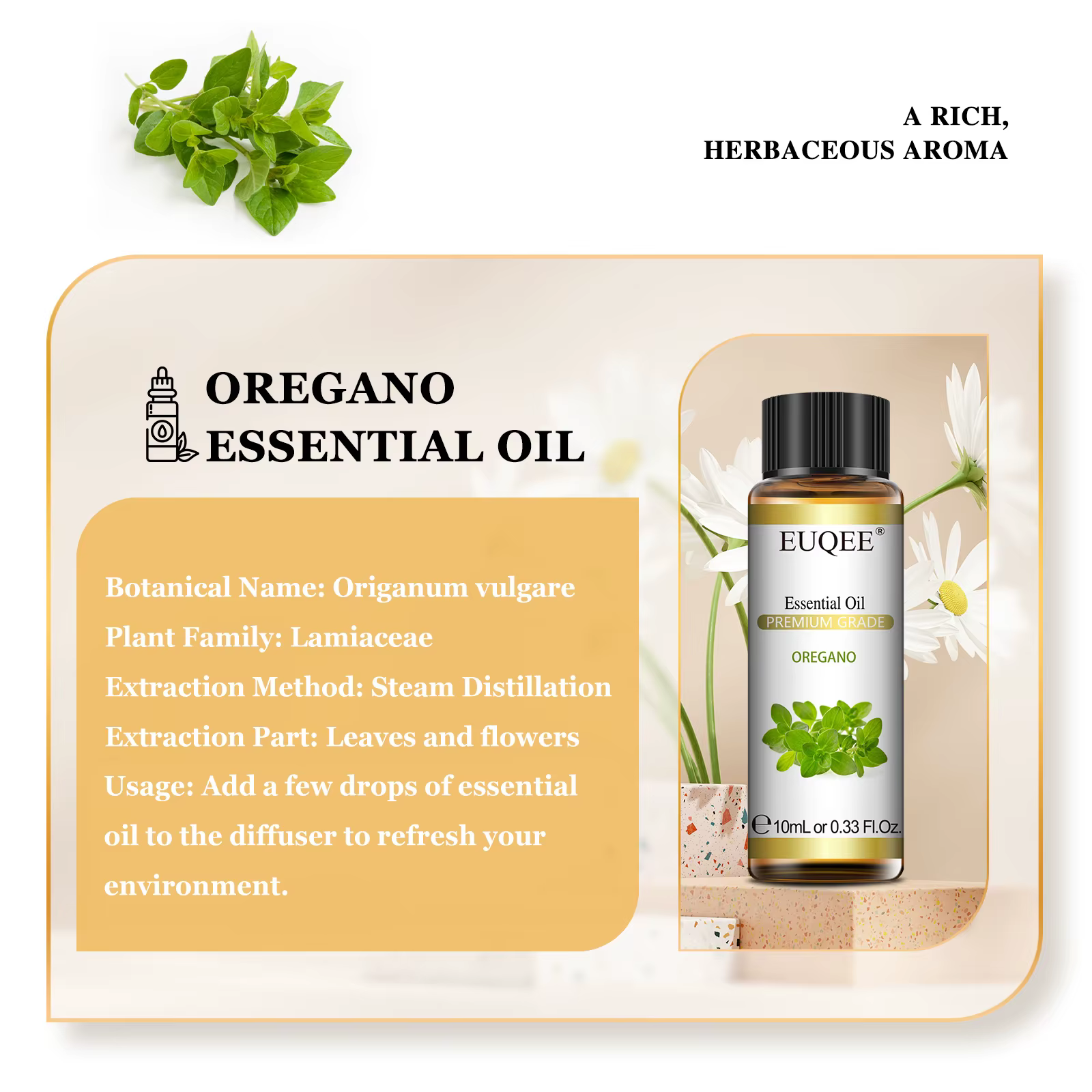EUQEE 10ml Oregano Vetiver huile essentielle pour humidificateur bougie faisant myrrhe gingembre hélicrysum citron Rose Eucalyptus arômes huiles