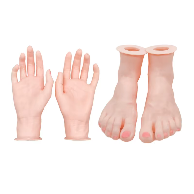 Modèle main pied en Silicone Flexible, avec articulations mobiles, pour présentoir bijoux C1FC