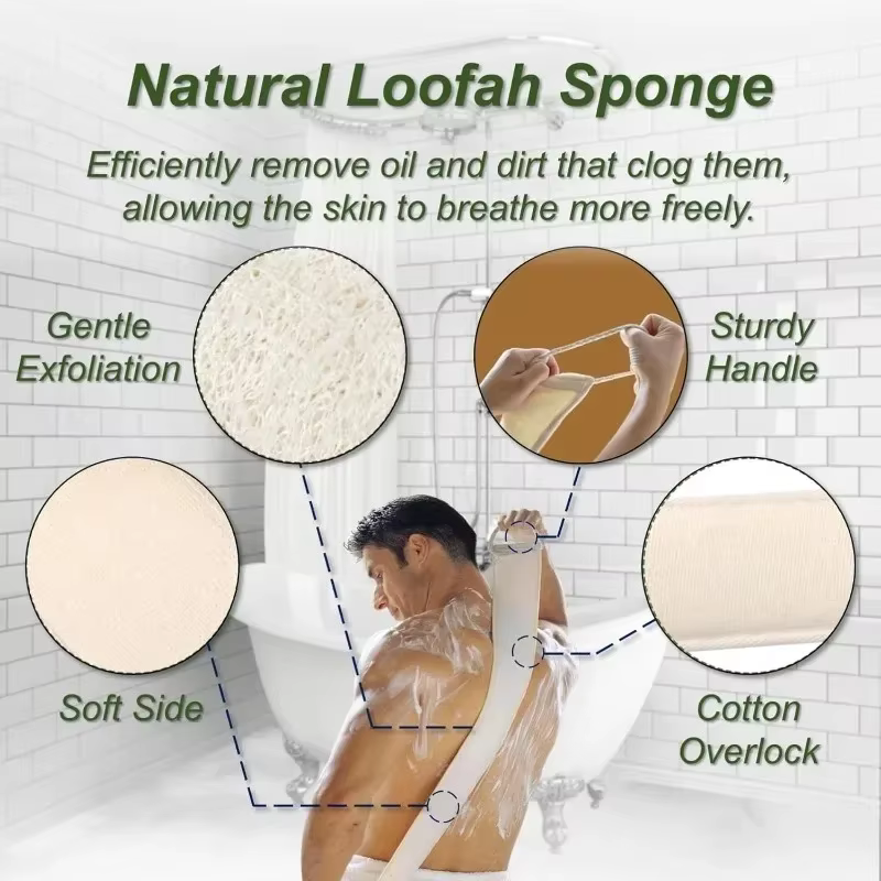 Massage exfoliant pour épurateur de peau du dos