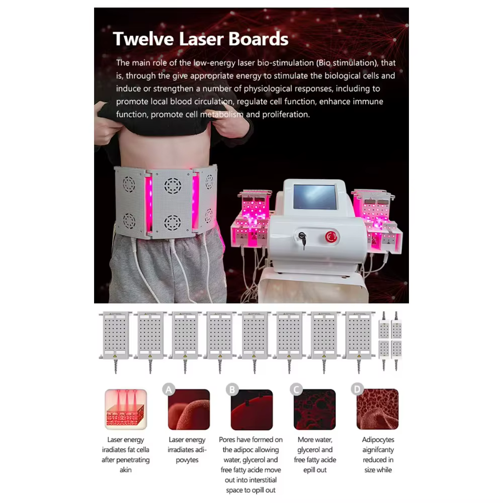Technologie Lipolaser 6D combinée à l'EMS pour un remodelage corporel non invasif et une réduction de la cellulite