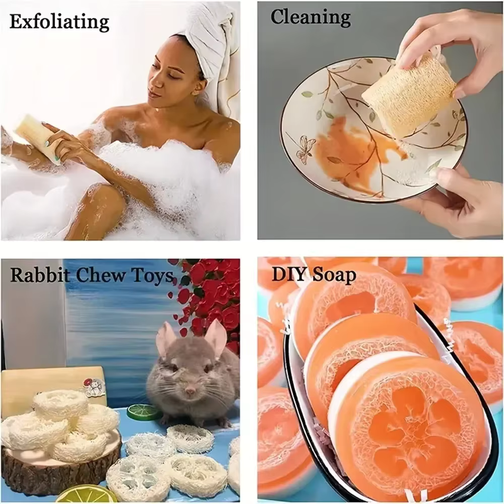 Éponge exfoliante naturelle égyptienne pour le corps