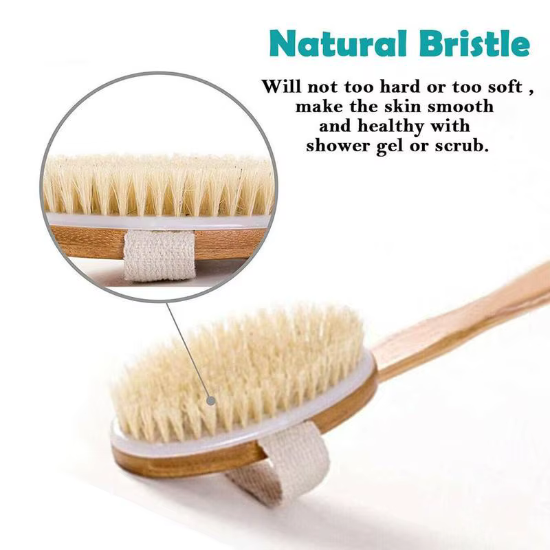 Brosses corporelles sèches