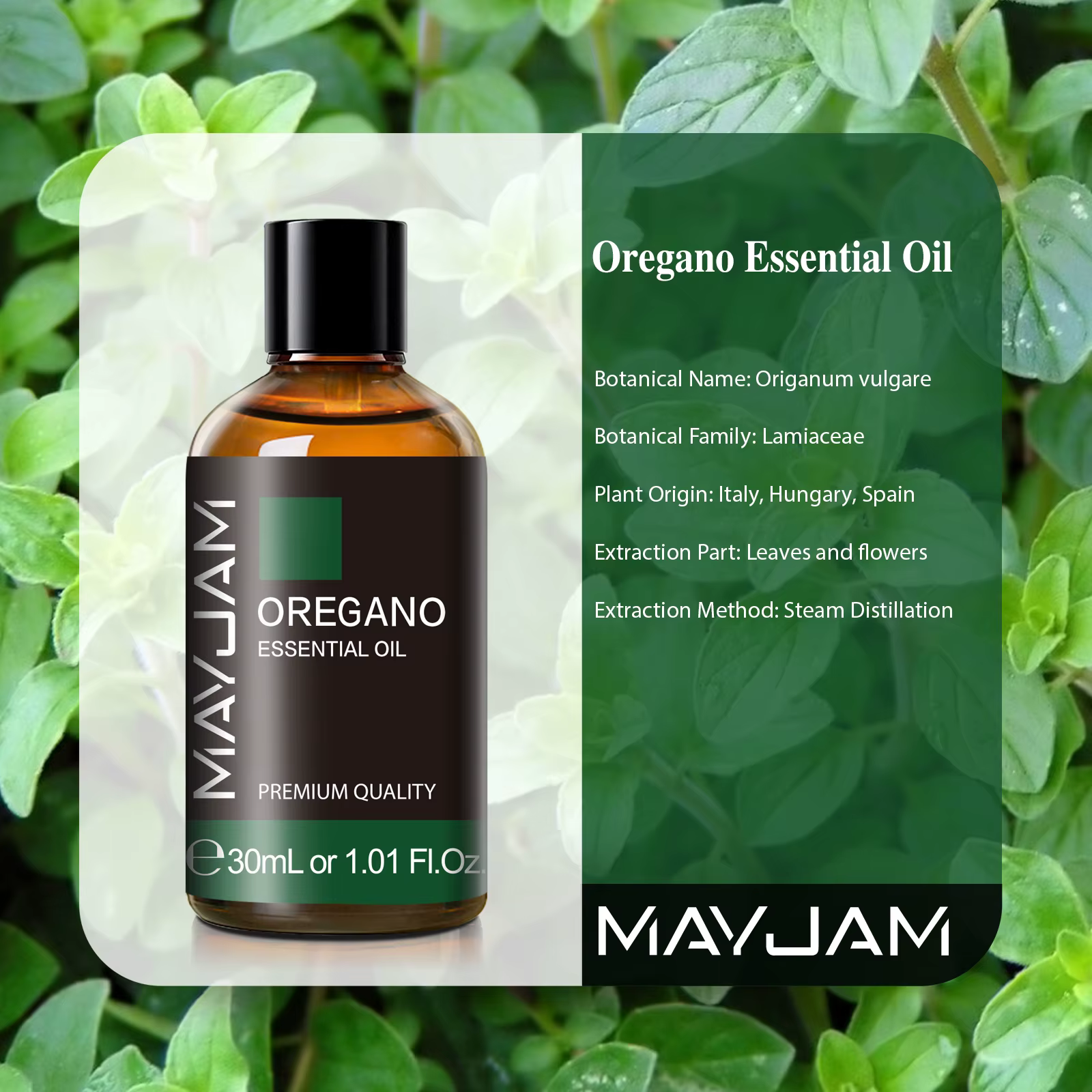 MAYJAM 30ML avec compte-gouttes huiles essentielles Oregano citron Eucalyptus menthe verte Neroli Helichrysum curcuma anis étoile arbre à thé