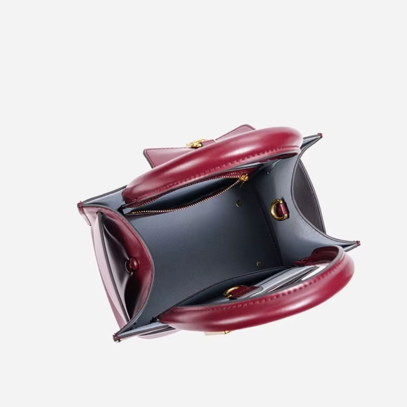 Sac à main chic à boucle pour femme 2026 – Nouveau sac à bandoulière de luxe tendance et de haute qualité, design distinctif en similicuir