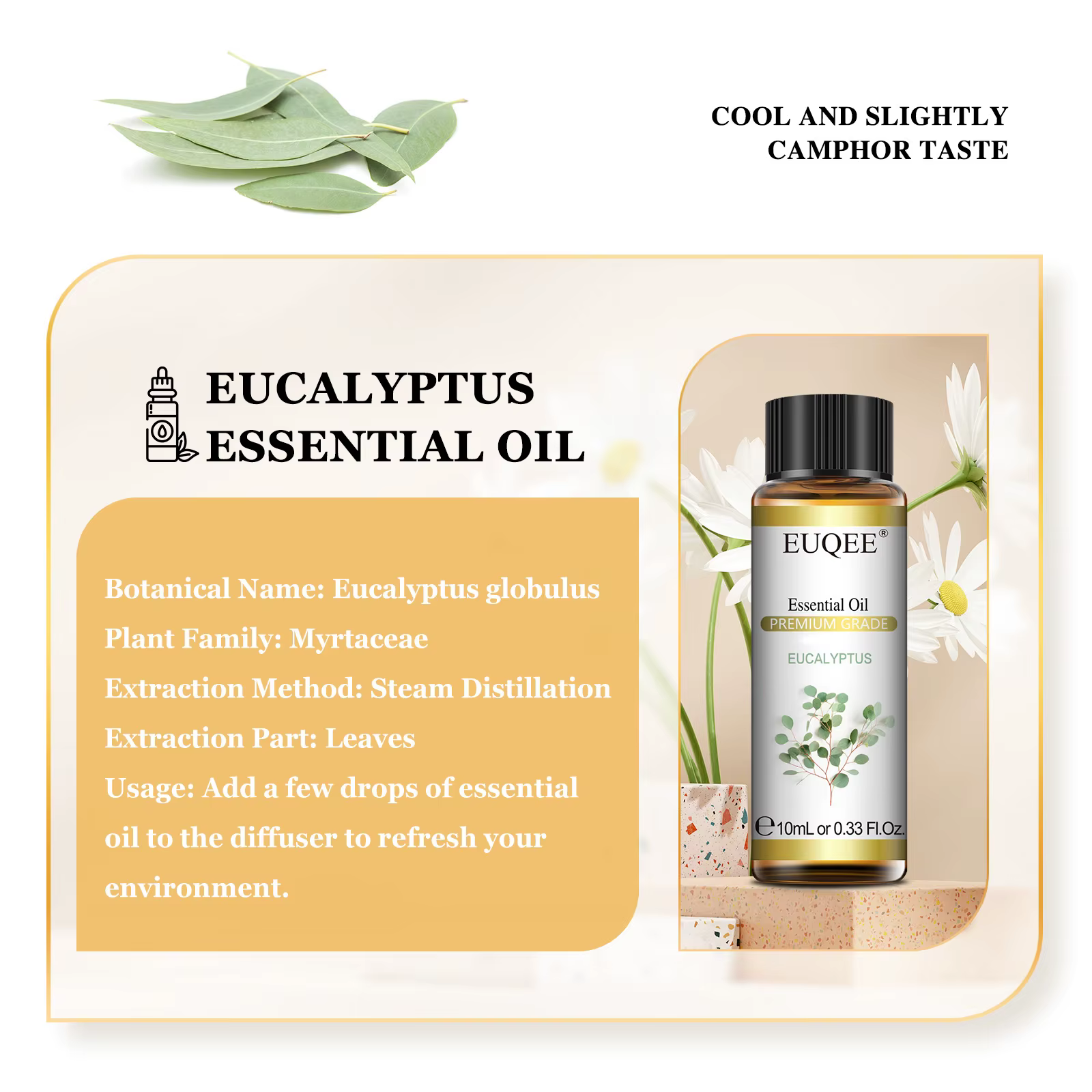 EUQEE 10ML huiles essentielles naturelles Eucalyptus menthe verte vanille lavande citron huile d'organo pour