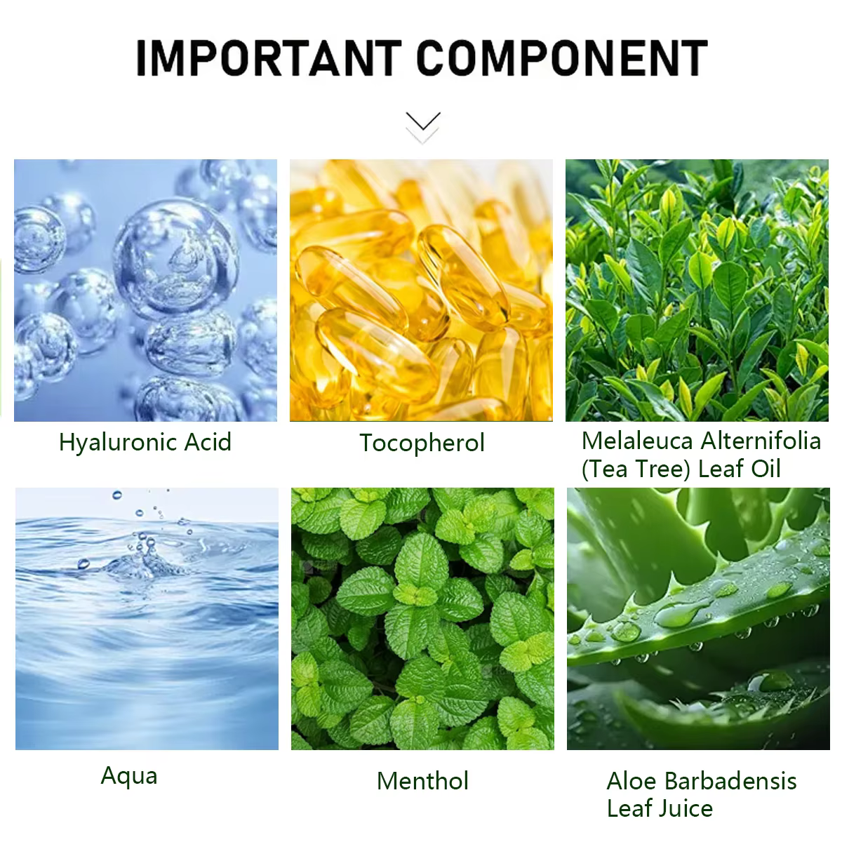 Crème pour les pieds à l'huile d'arbre à thé Water Ice Levin – Vitamine E Aloe Vera Menthol Ralent