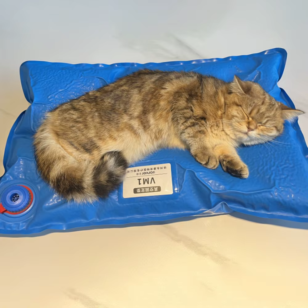 Accessoires chirurgicaux pour animaux, tapis de positionnement sous vide pour animaux de compagnie, petit tapis d'examen vétérinaire, salle de soins pour animaux de compagnie