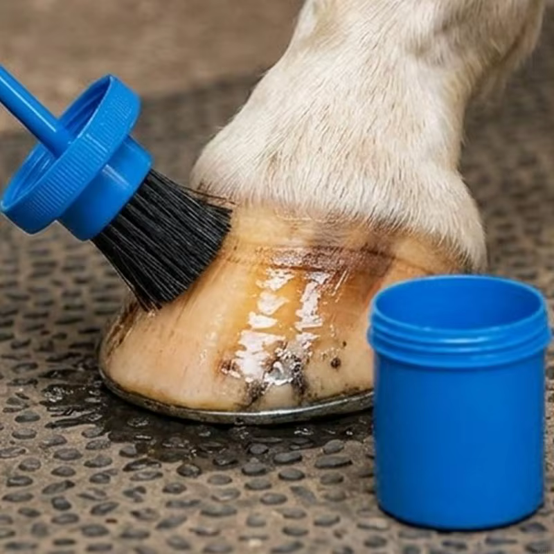 Brosse à huile pour sabots cheval, anti-fuite, brosse à graisse, outil nettoyage pour toilettage efficace une 69HD