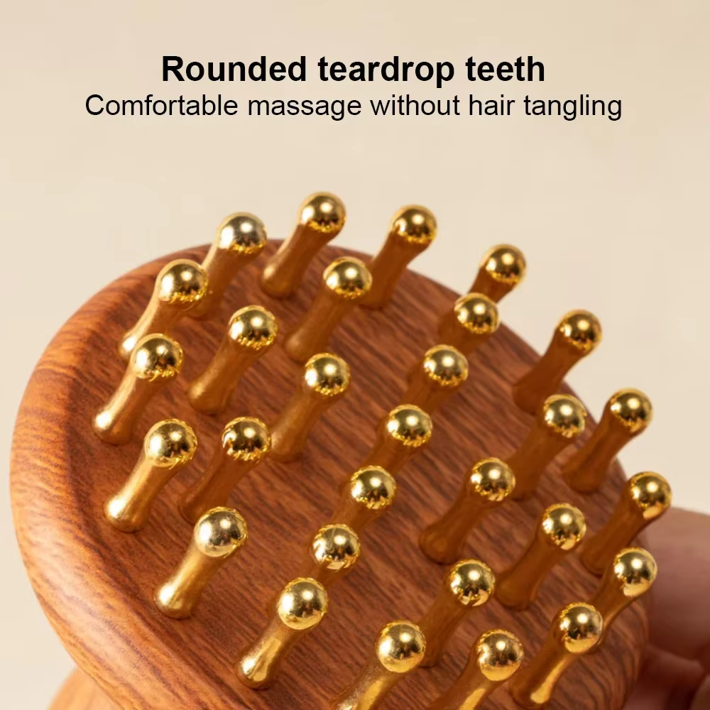 Ensemble de brosses anti-cellulite pour méridiens