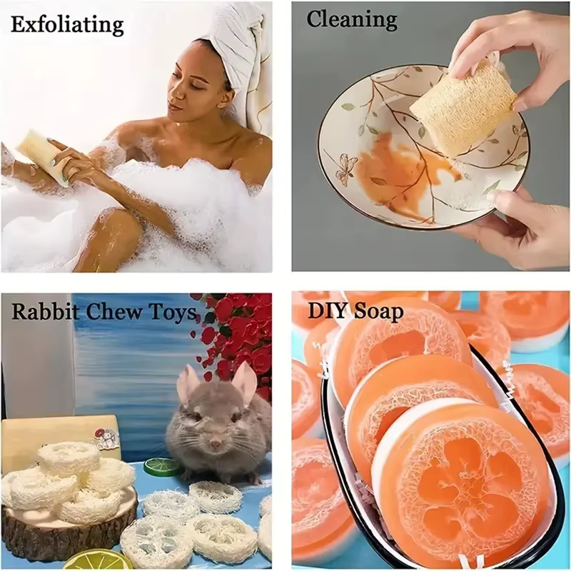 Éponge exfoliante naturelle égyptienne pour le corps