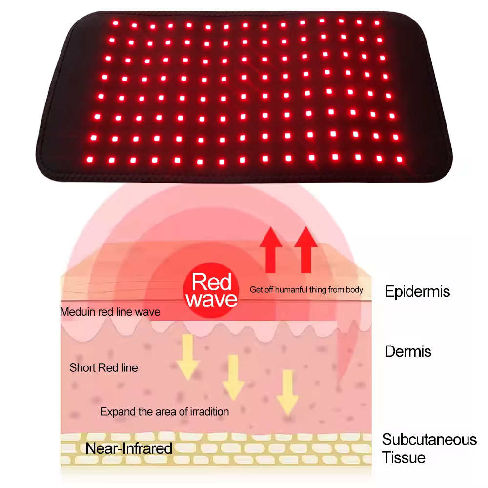 Coussin de thérapie par lumière infrarouge LED 3 en 1, enveloppant et portable pour le dos, les épaules et la taille, lumière infrarouge 660 & 850 nm, appareil de perte de poids