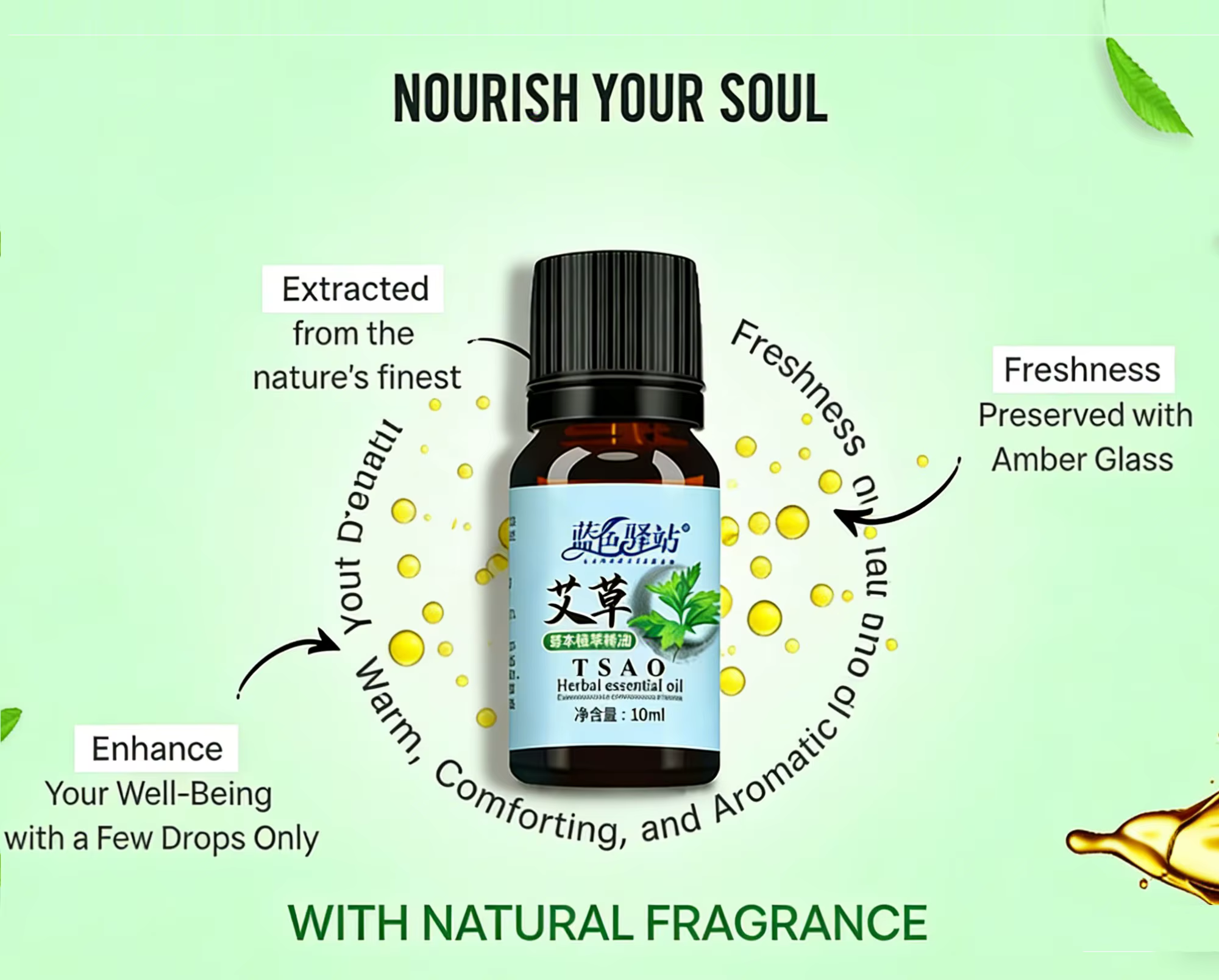 Huile Essentielle d'Armoise 10ml – Huile Naturelle Pure à 100%