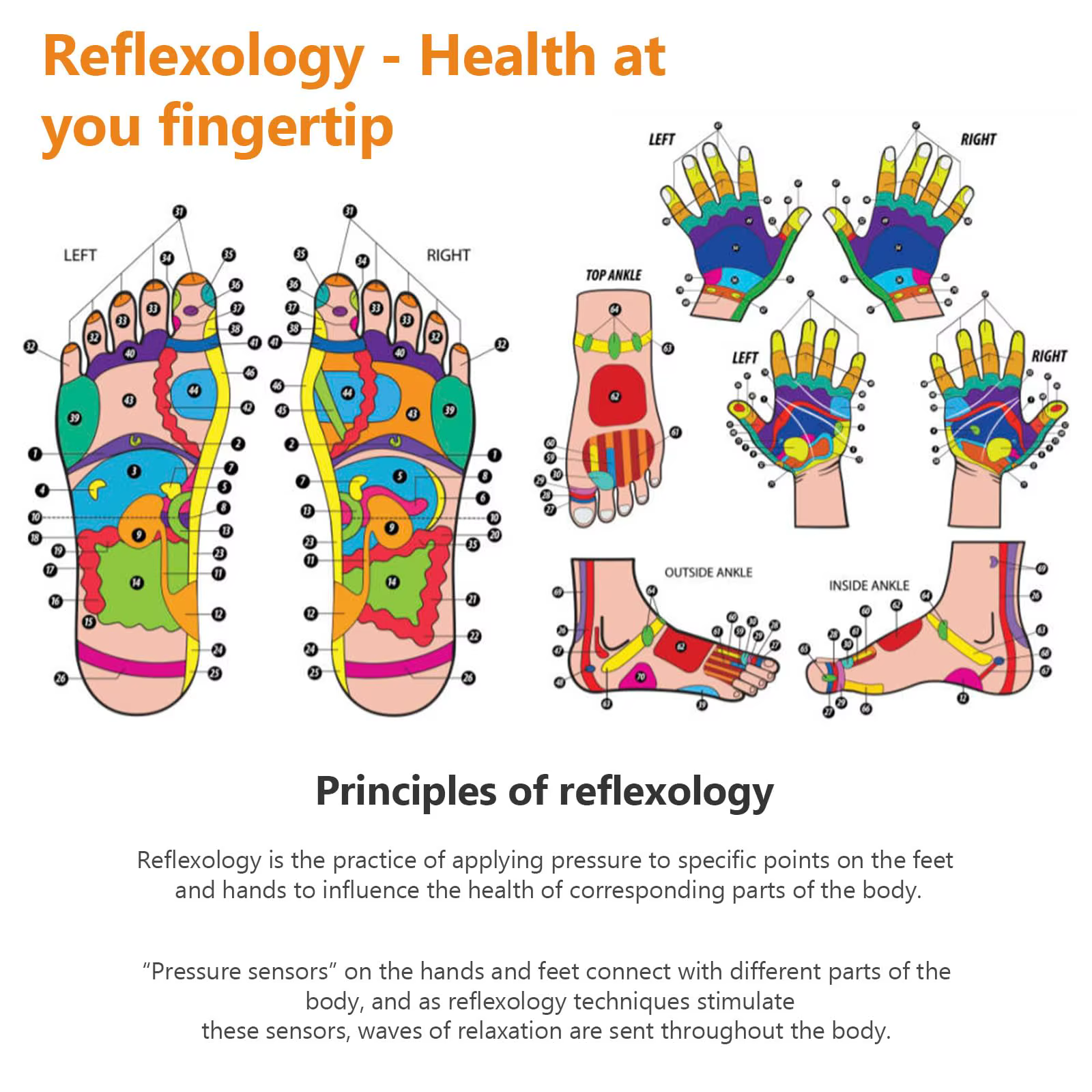 Chaussettes de réflexologie