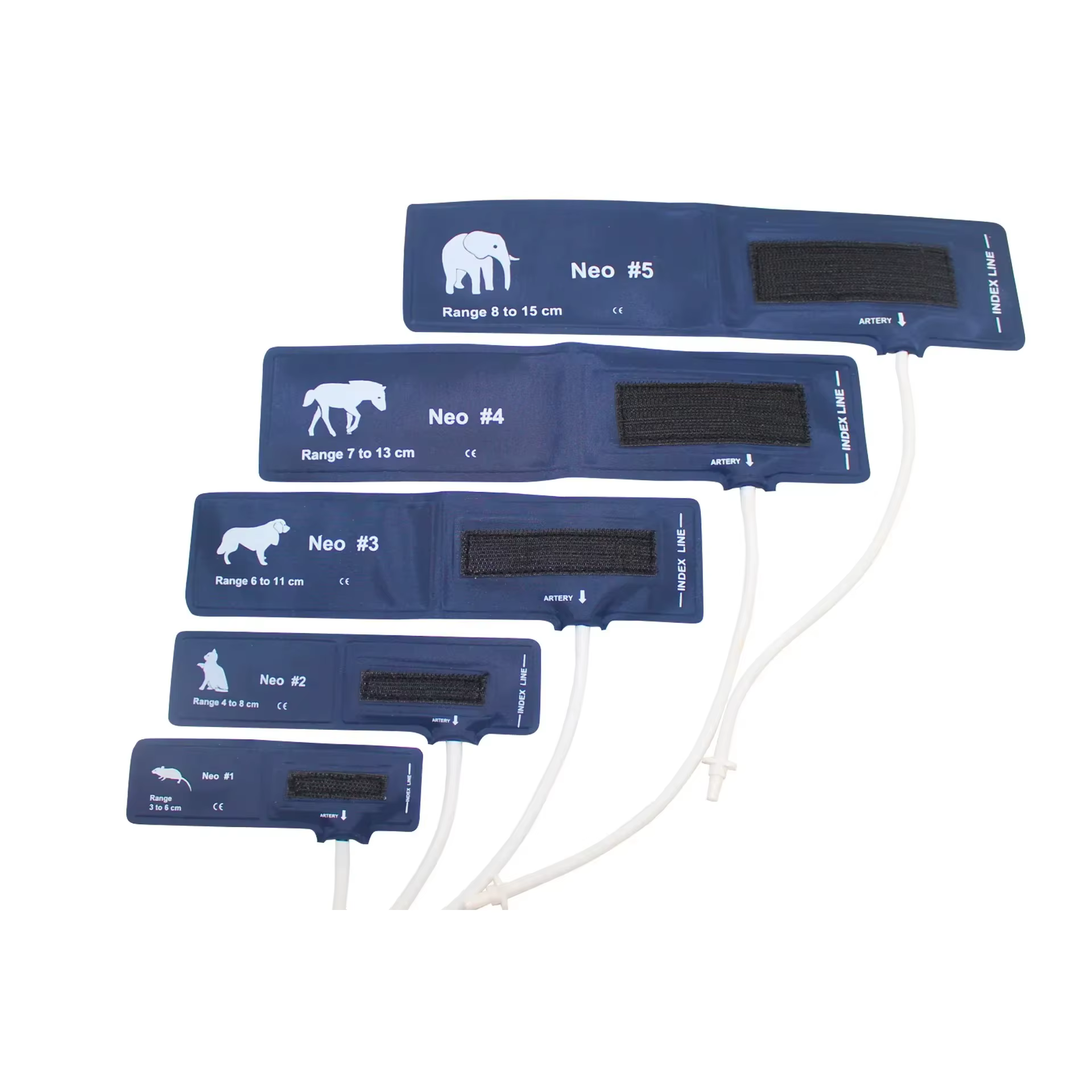 Brassard de surveillance de la pression artérielle pour animaux de compagnie, Fournitures vétérinaires, Accessoire vétérinaire