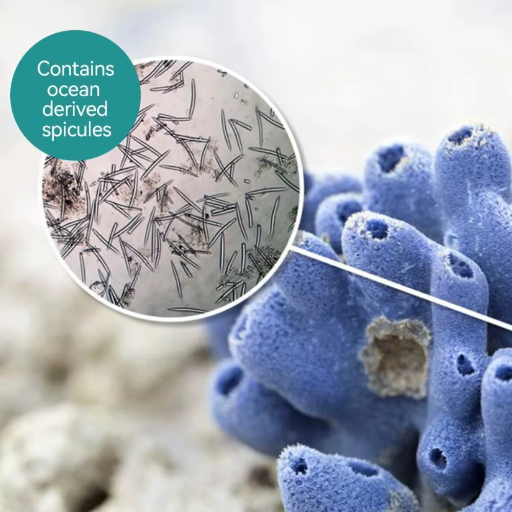 Kit de spicules d'éponge biomicrocristallines S VIAL pour nettoyer les pores