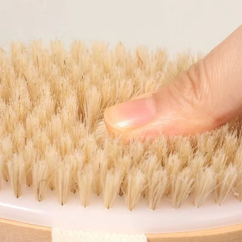Brosse corporelle pour peau sèche et humide