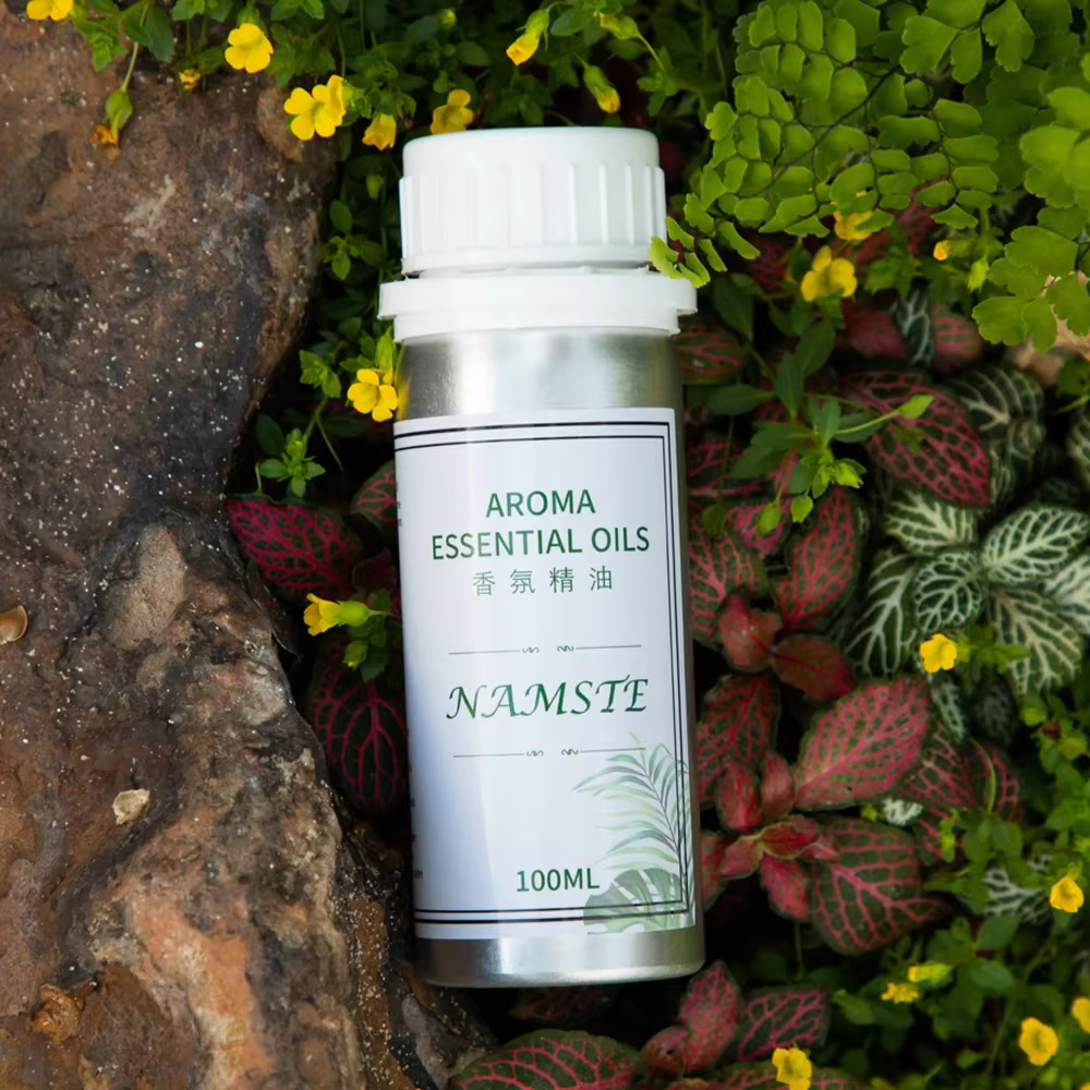 Diffuseur d'huiles essentielles pour diffuseur d'aromathérapie