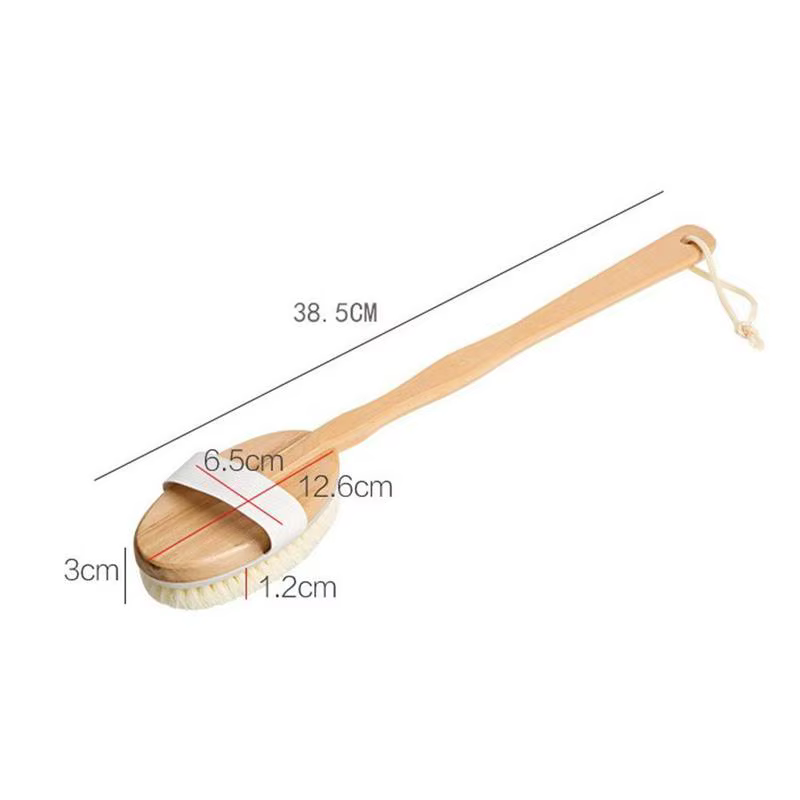 Brosses corporelles sèches