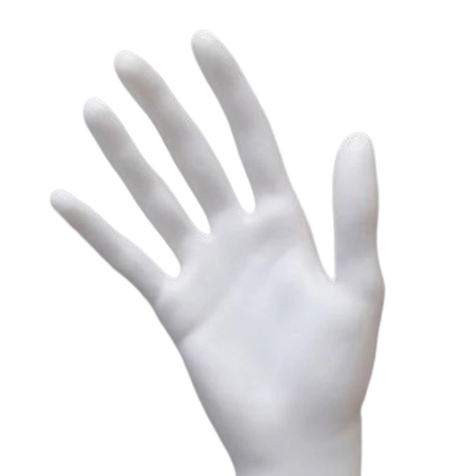 Mannequin main bijoux présentoir organisateur bras Long pour modèle de main