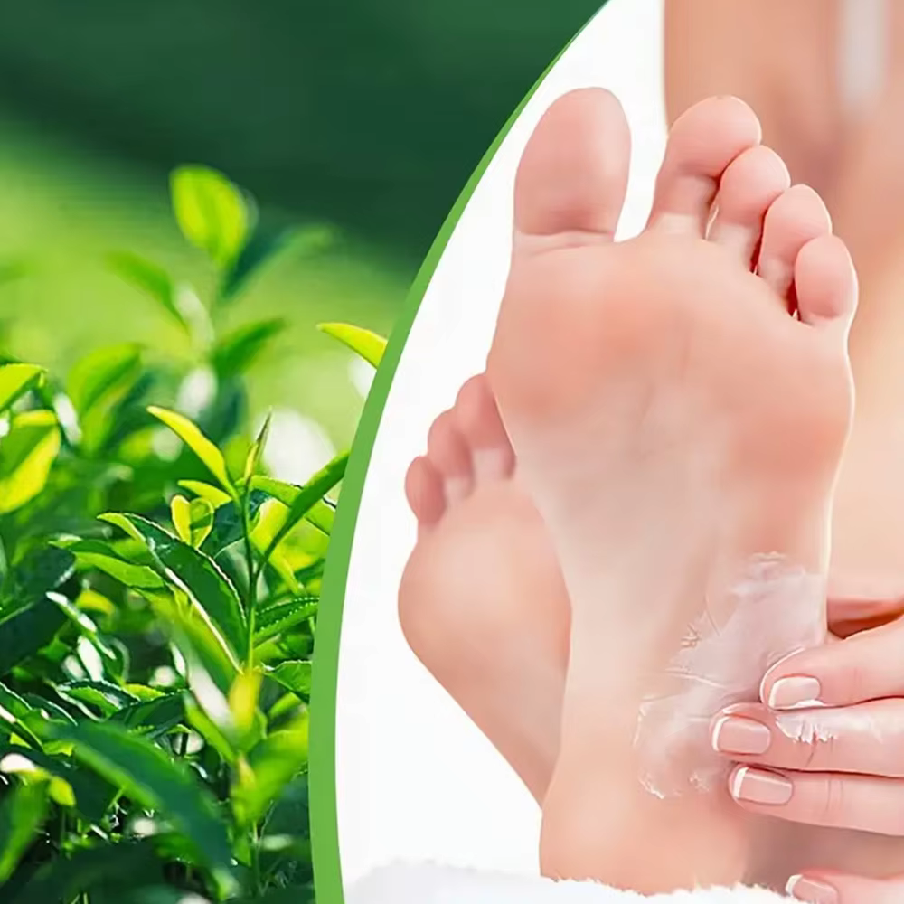 Crème pour les pieds à l'arbre à thé pour les soins des talons secs